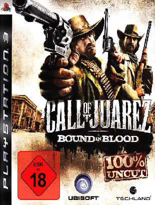 Call of Juarez: Bound in Blood